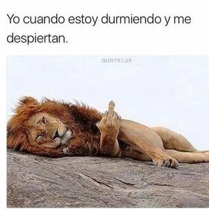 Meet your Posher, Ed